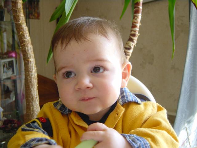 DSC05762
